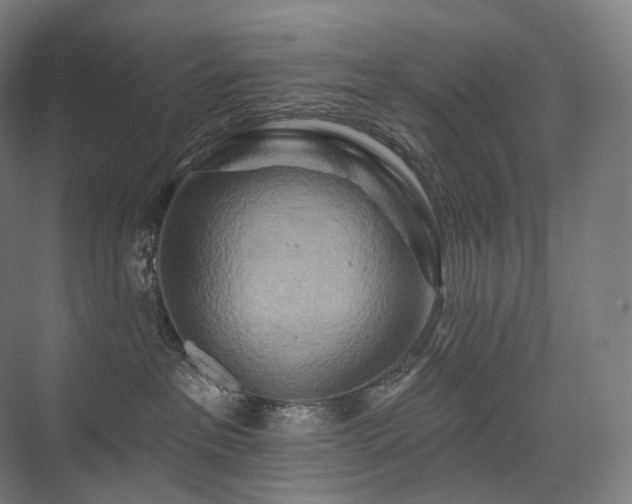 X0000075830237200609151246