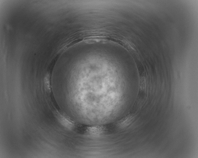 X0000075830238200609151246