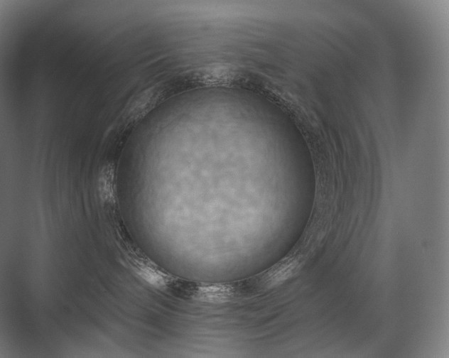 X0000075830240200609151246