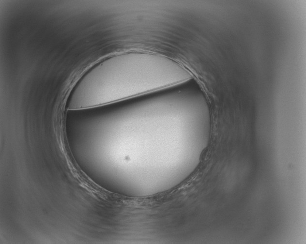 X0000075830241200609151246