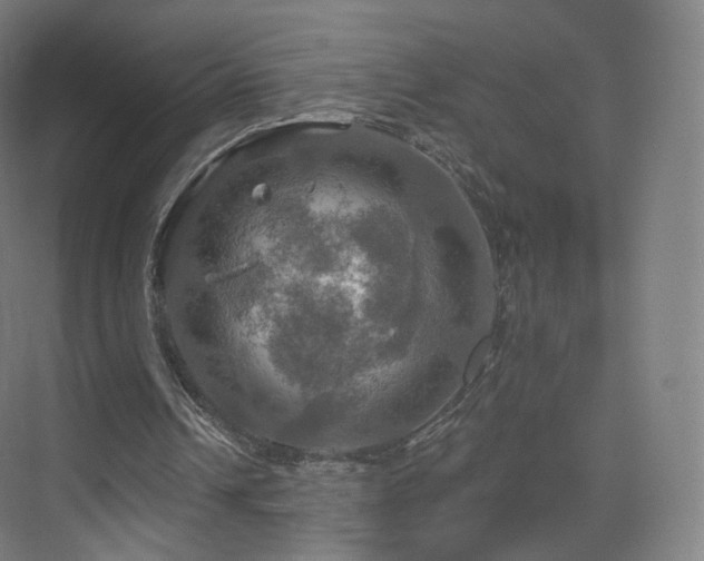 X0000075830242200609151246