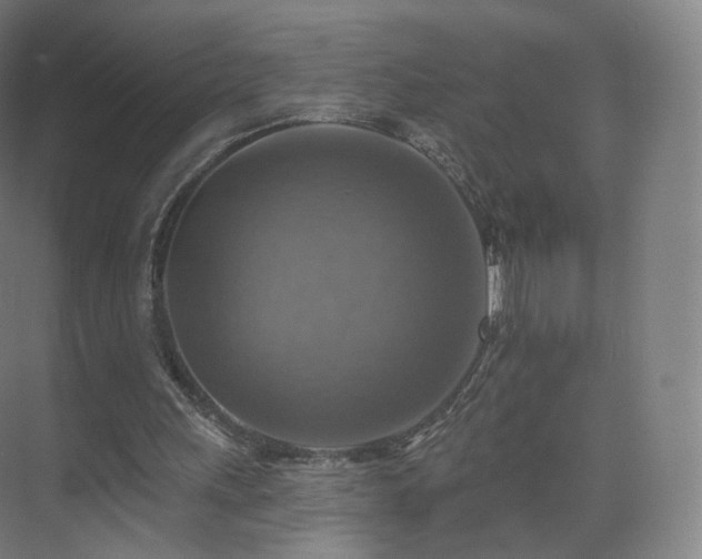 X0000075830243200609151246