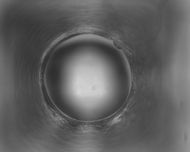 X0000075830244200609151246