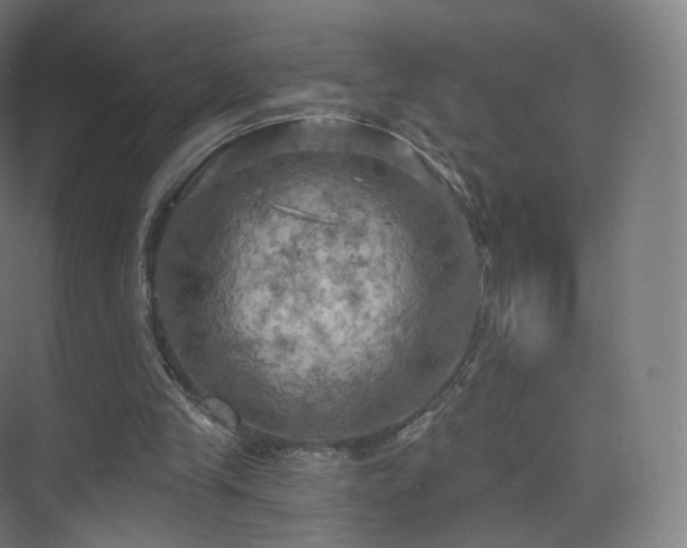 X0000075830245200609151246