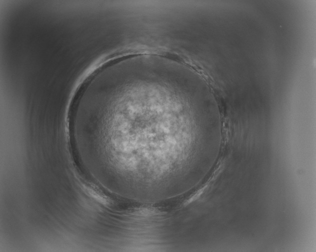 X0000075830246200609151246