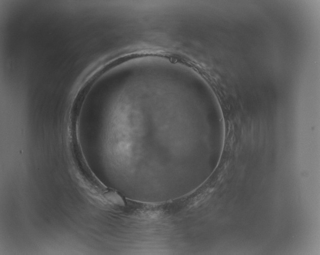 X0000075830247200609151246