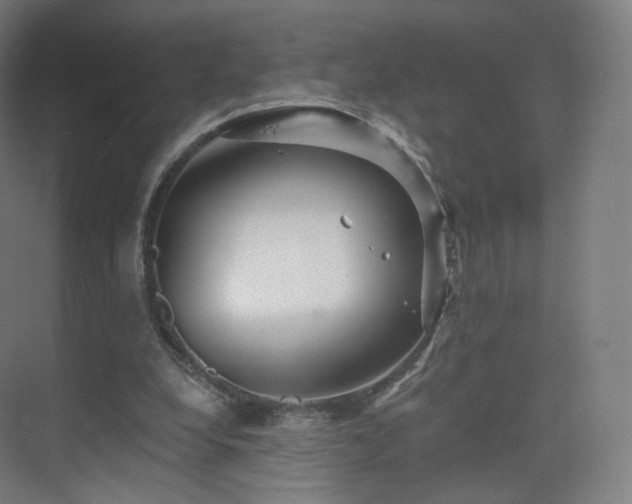 X0000075830248200609151246