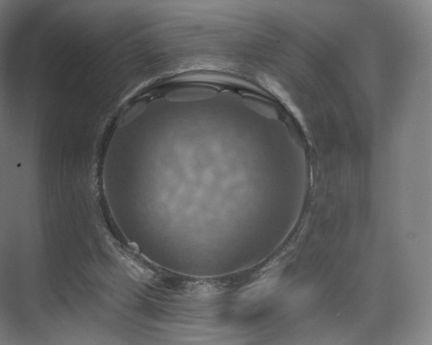 X0000075830249200609151246