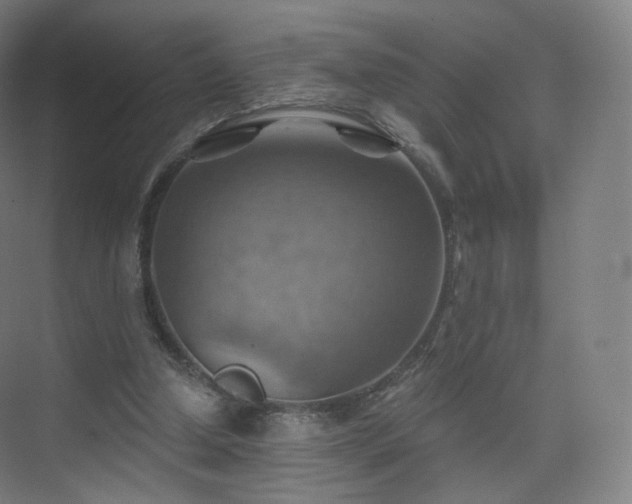 X0000075830250200609151246