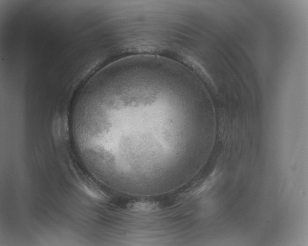 X0000075830251200609151246