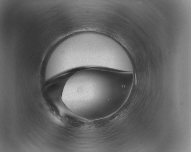 X0000075830252200609151246