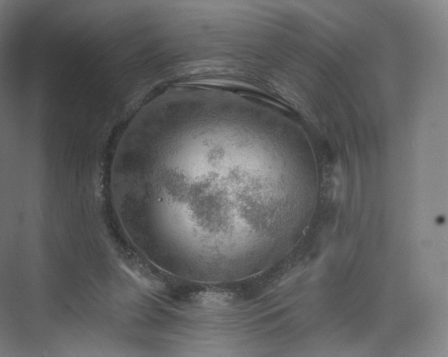 X0000075830255200609151246