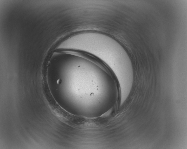 X0000075830256200609151246