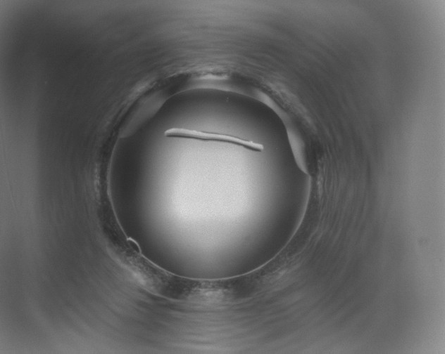 X0000075830260200609151246