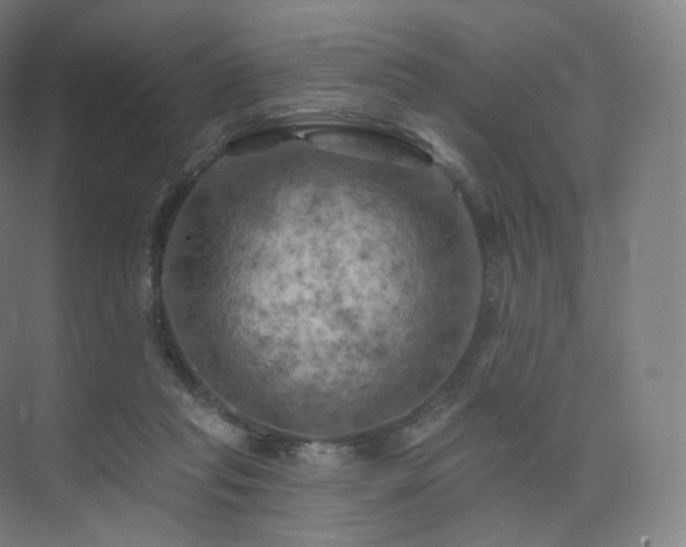 X0000075830261200609151246