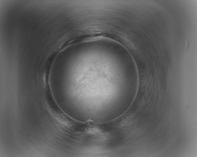 X0000075830262200609151246