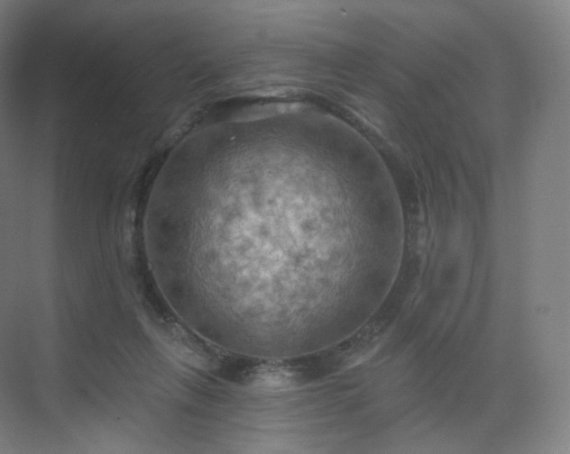 X0000075830263200609151246