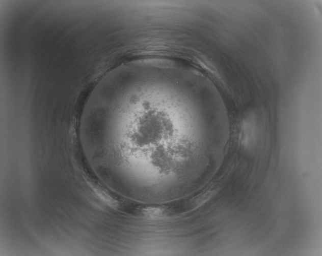 X0000075830265200609151246