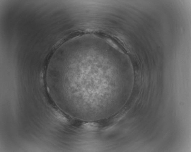 X0000075830269200609151246