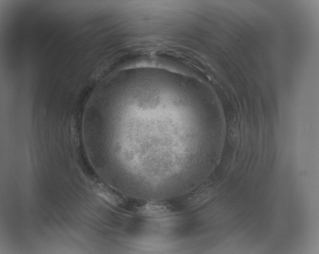 X0000075830270200609151246