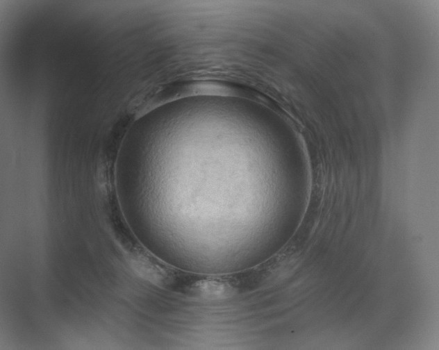 X0000075830272200609151246