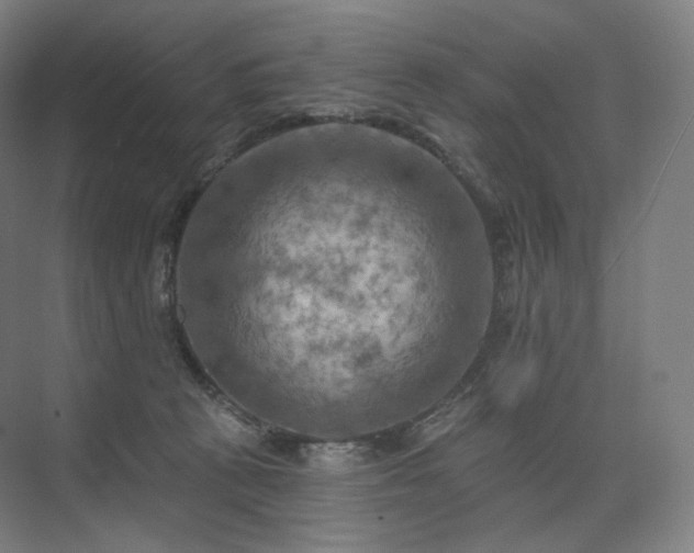 X0000075830273200609151246