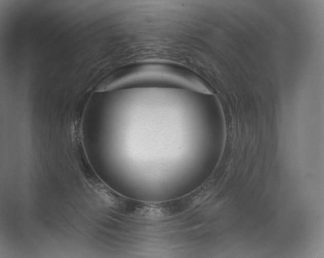 X0000075830276200609151246