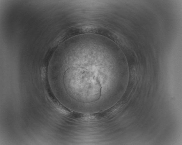 X0000075830278200609151246