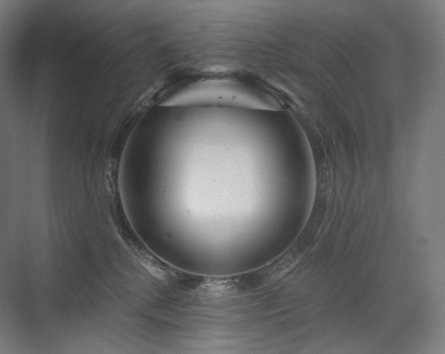 X0000075830280200609151246