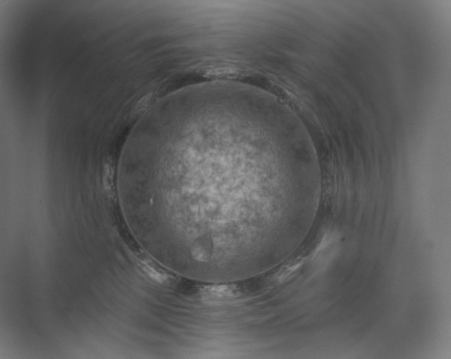 X0000075830281200609151246