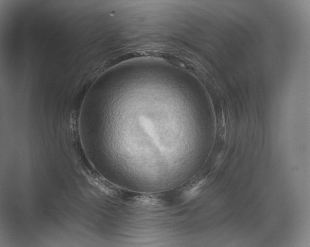 X0000075830284200609151246