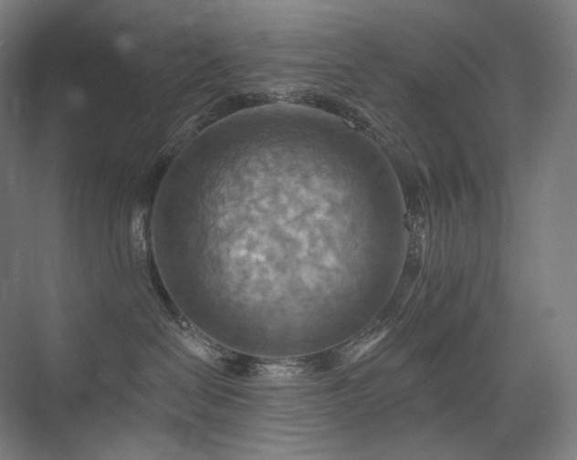 X0000075830286200609151246