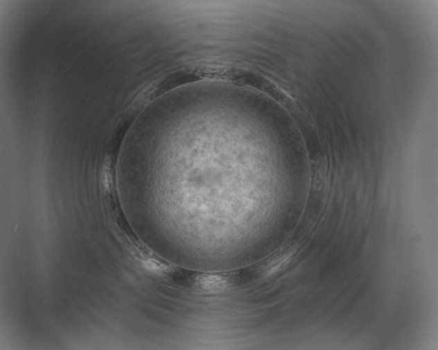 X0000075830287200609151246