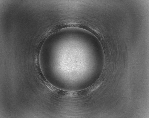 X0000075830288200609151246