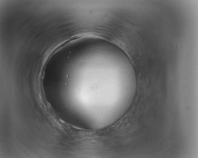 X0000075830289200609151246