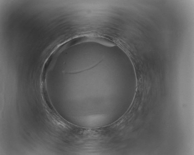 X0000075830290200609151246