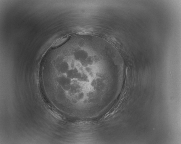 X0000075830291200609151245