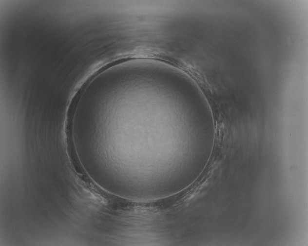 X0000075830292200609151245