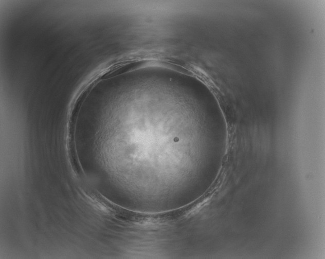 X0000075830293200609151245