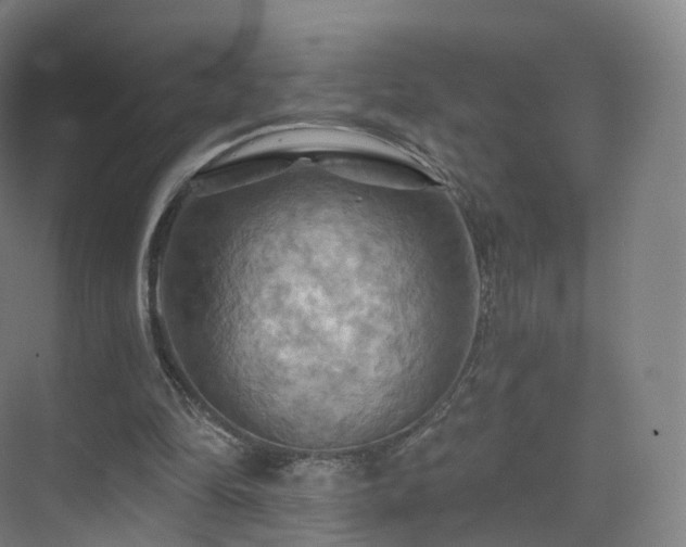 X0000075830294200609151245