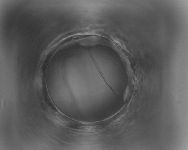 X0000075830295200609151245