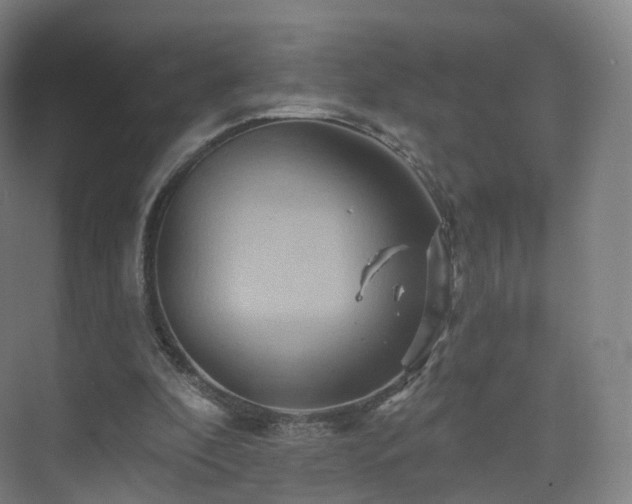 X0000075830296200609151245