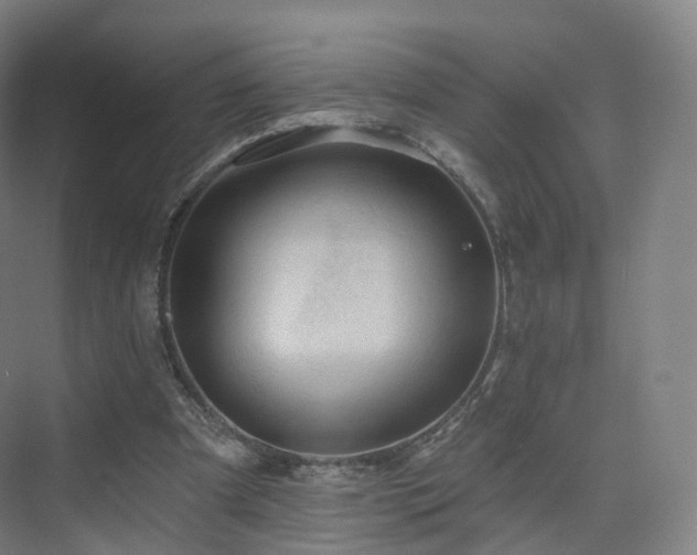 X0000075830297200609151245