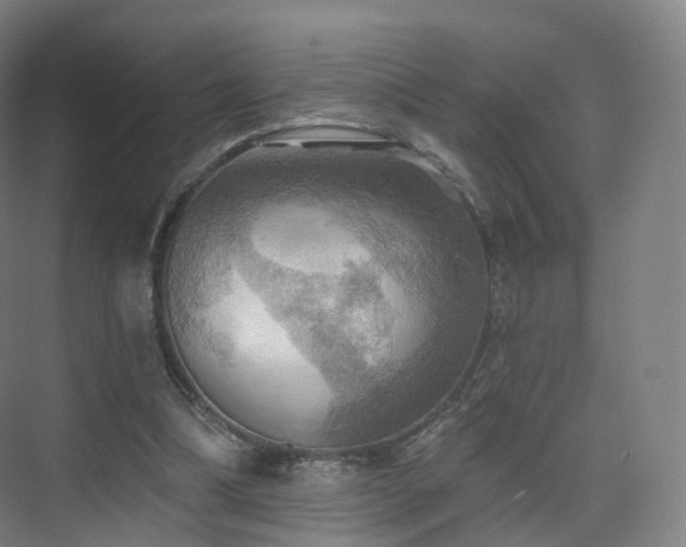 X0000075830298200609151245