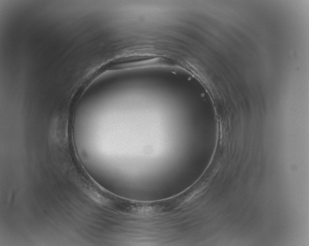 X0000075830301200609151245