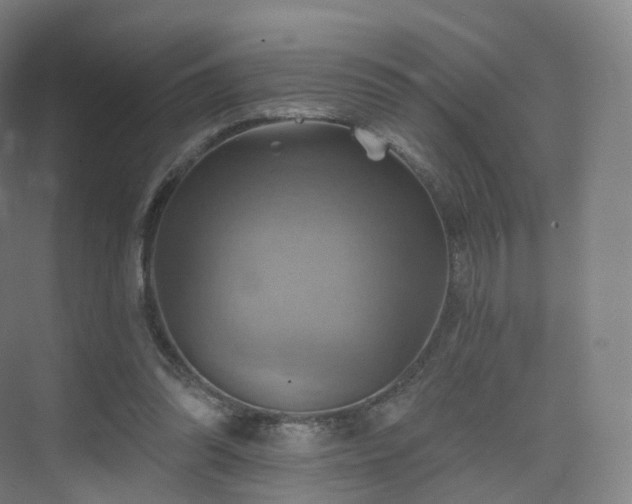 X0000075830302200609151245