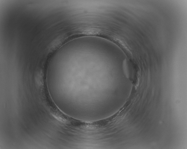 X0000075830303200609151245