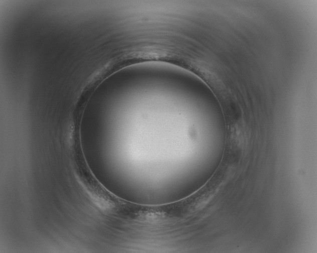 X0000075830304200609151245