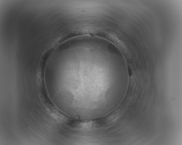 X0000075830306200609151245