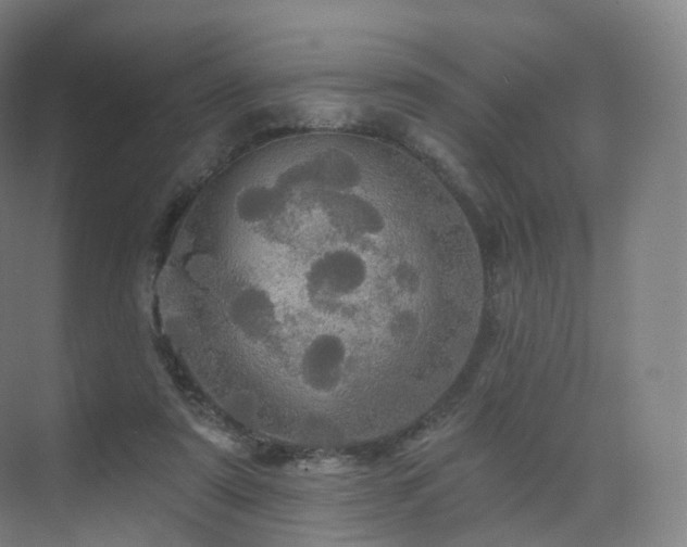 X0000075830307200609151245